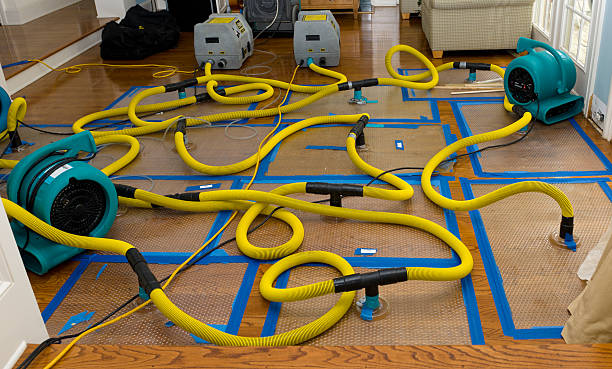 Professional Crawl Space Water Removal technician working in Snover, MI